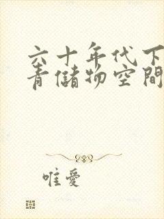 六十年代下乡知青储物空间