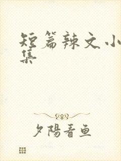 短篇辣文小说合集