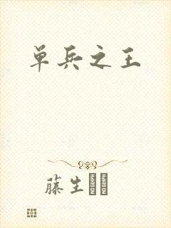单兵之王