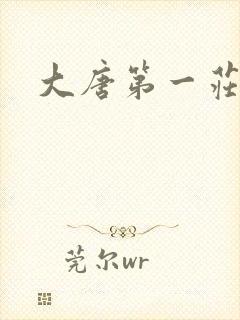 大唐第一庄