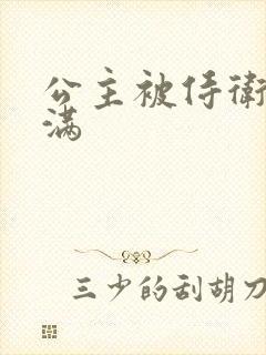 公主被侍卫填的满