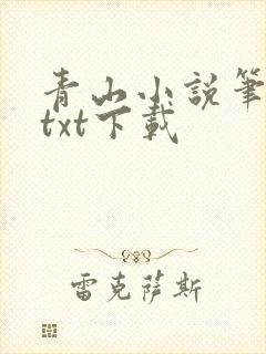 青山小说笔趣阁txt下载