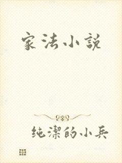 家法小说