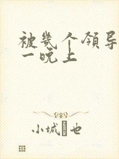 被几个领导玩弄一晚上