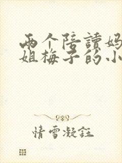 两个陪读妈妈赵姐梅子的小说