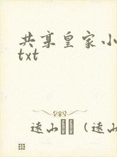 共享皇家小公主txt