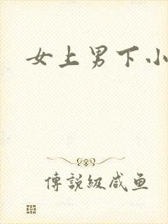 女上男下小说