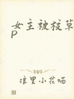 女主被校草们NP