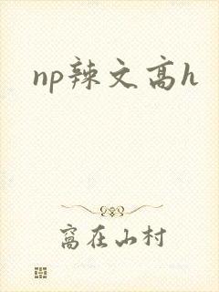 np辣文高h