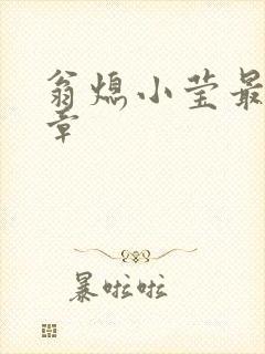 翁熄小莹最新节章