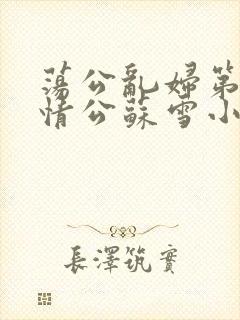 荡公乱妇第1章情公苏雪小说