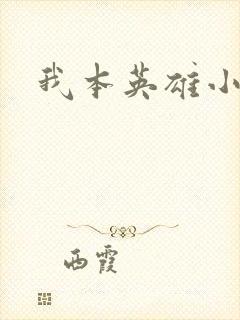 我本英雄小说