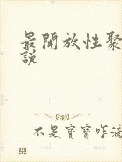 最开放性聚会小说