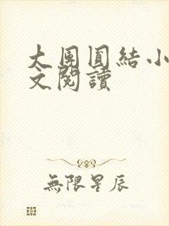 大团圆结小茹全文阅读