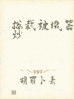 总裁被机器人爆炒