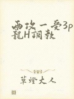 两攻一受3p双龙H调教