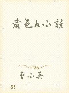 黄色h小说