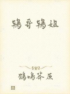 鸨哥鸨姐