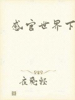感官世界下载