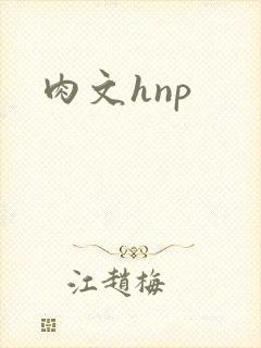 肉文hnp