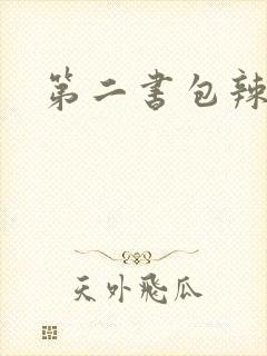 第二书包辣文