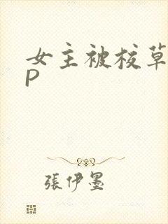 女主被校草们NP