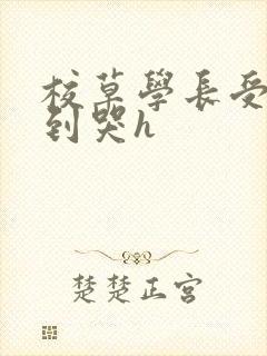 校草学长受被做到哭h