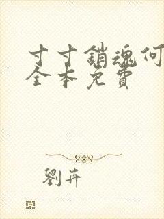 寸寸销魂何生祥全本免费