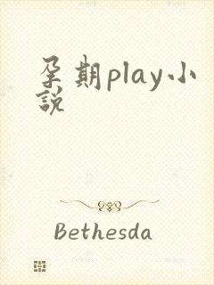 孕期play小说