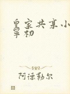 皇家共享小公主宁初