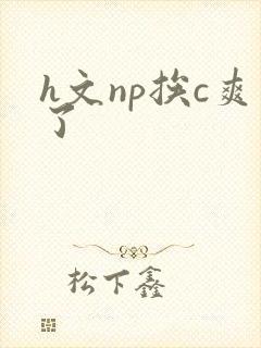 h文np挨c爽了