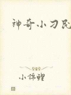 神奇小刁民