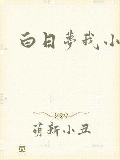 白日梦我小说