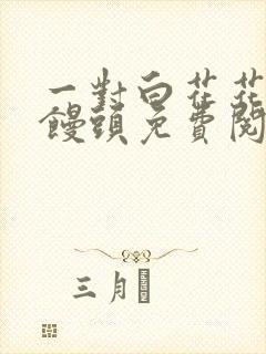 一对白花花的大馒头免费阅读