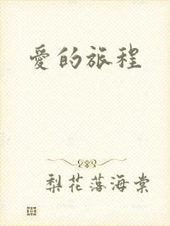 爱的旅程