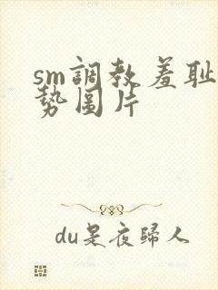 sm调教羞耻姿势图片