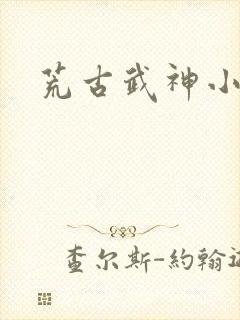 荒古武神小说