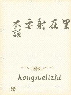 不要射在里面小说