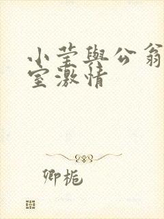 小莹与公翁办公室激情