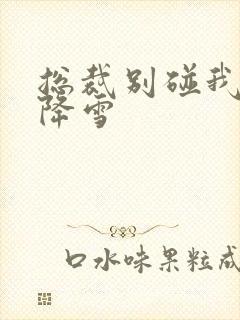 总裁别碰我 韩降雪