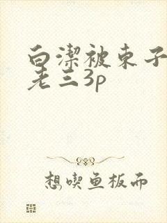 白洁被东子老二老三3p