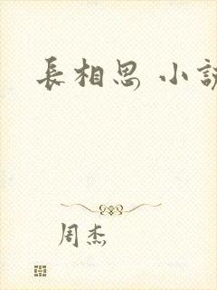 长相思 小说