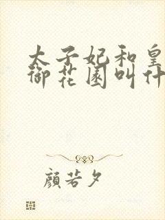 太子妃和皇帝在御花园叫什么小说