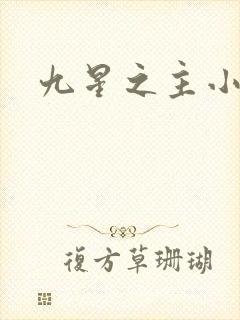 九星之主小说