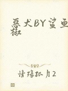 恶犬BY鲨鱼辣椒