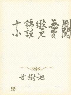 十锦缎无删原著小说免费阅读