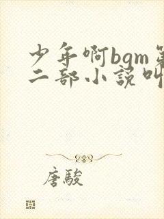少年啊bgm第二部小说叫什么