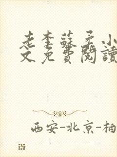 老李苏柔小说全文免费阅读