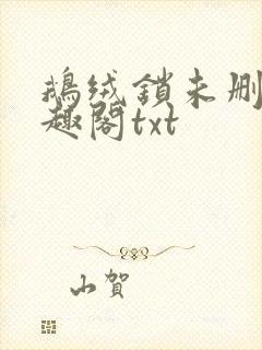 鹅绒锁未删除笔趣阁txt