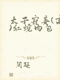 太子宠妾(高肉)红烧肉包